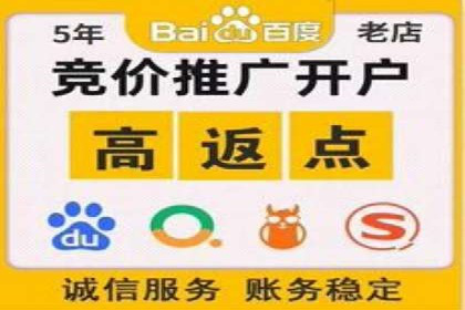 实战派经验分享：百度竞价代理成功案例揭秘